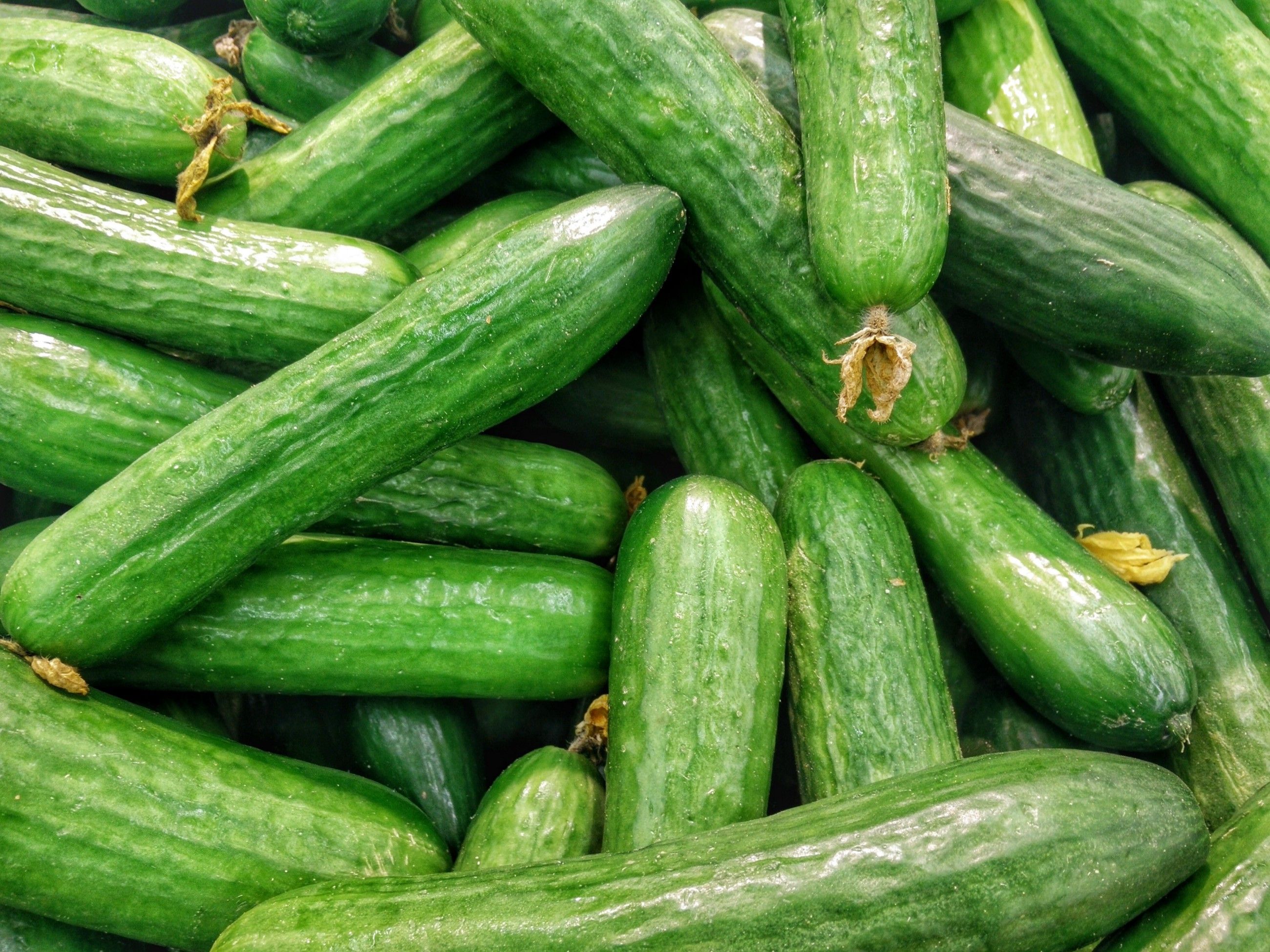 Varieties of Cucumbers