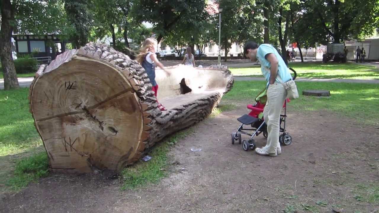 tree trunk bench