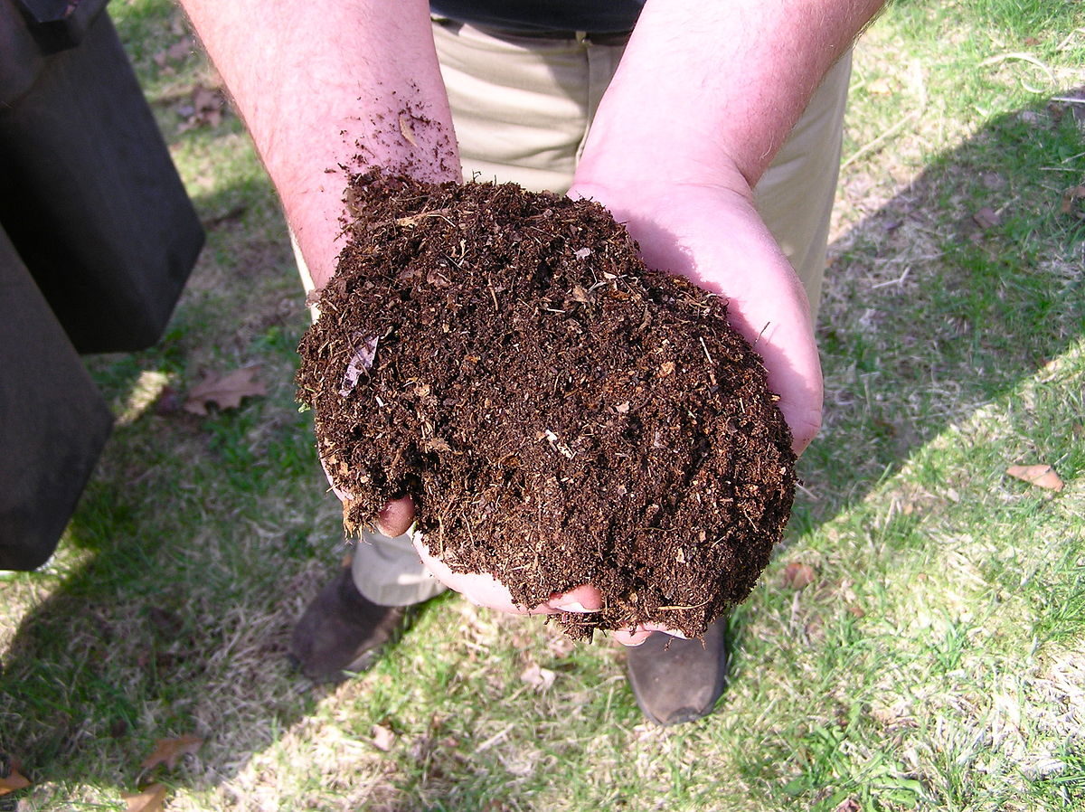 Compost Introduction