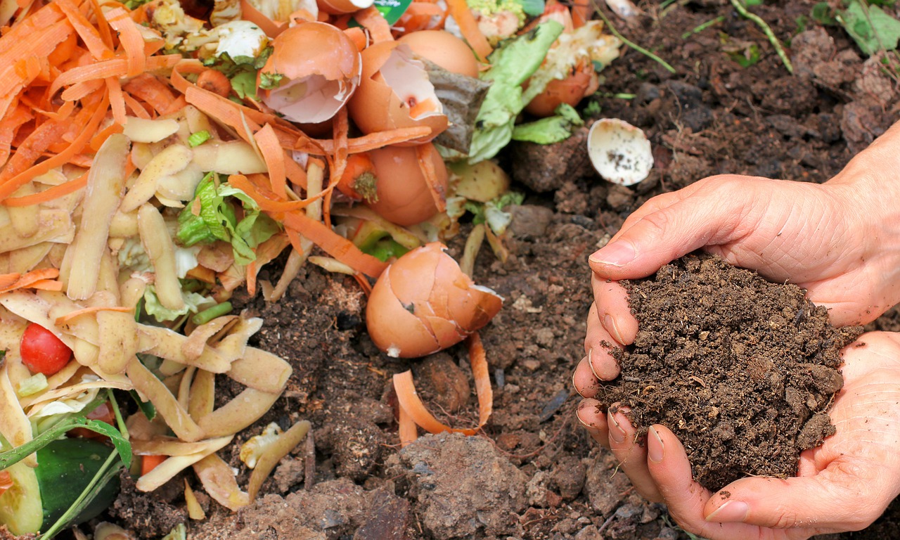 When Is Compost Ready? 
