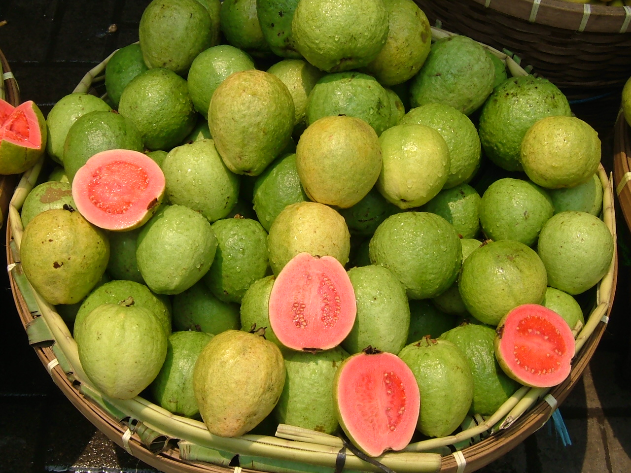 What Is Guava?