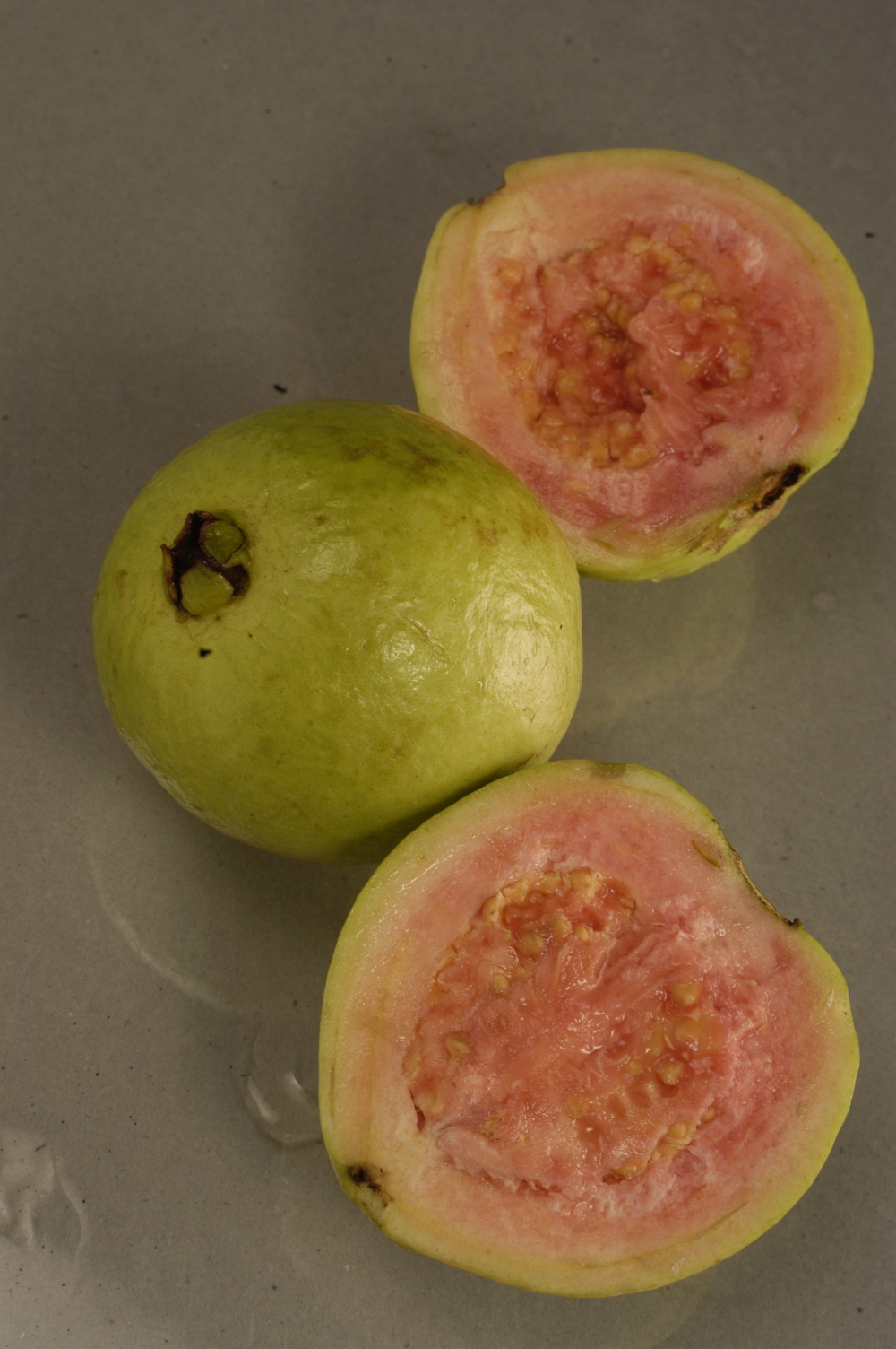 How Guava Turns its Colors 