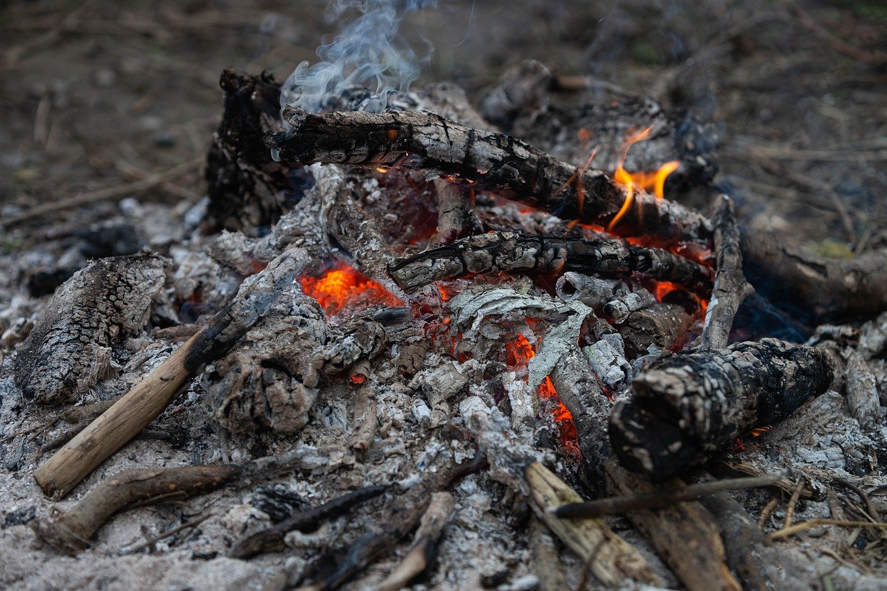 What To Do with Wood Fire Ash