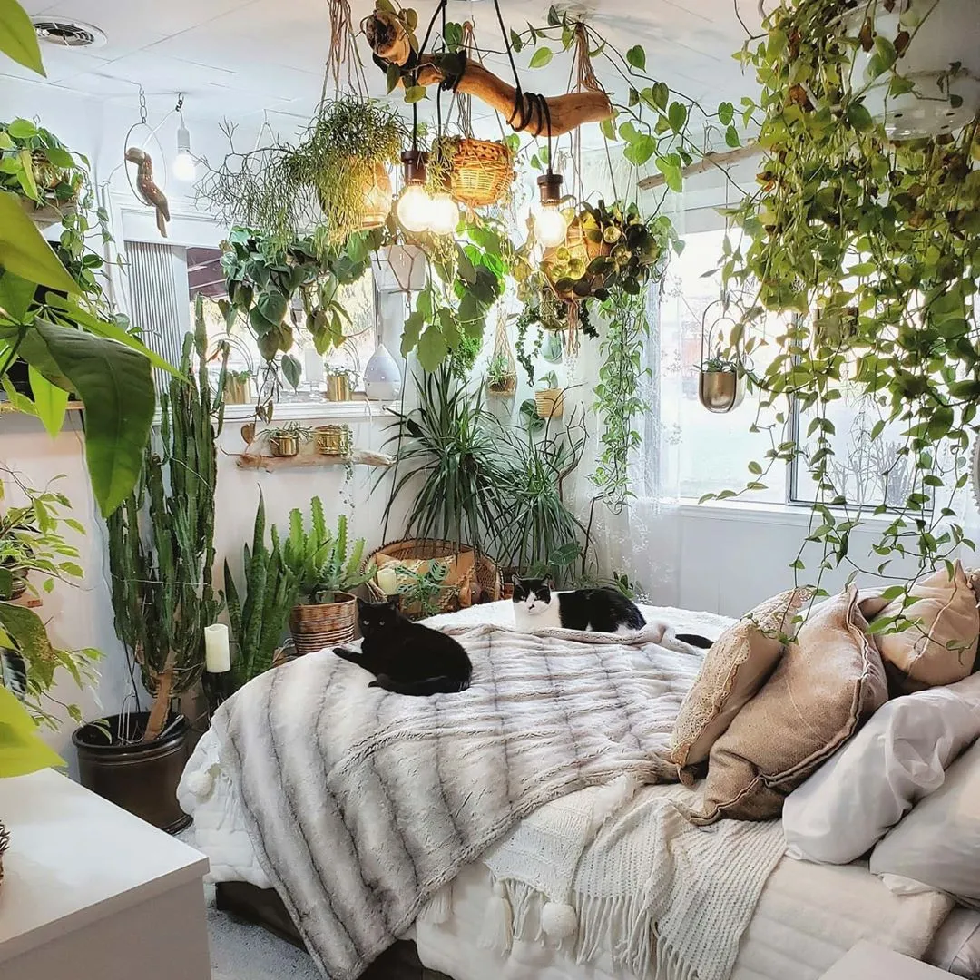16 Ideas for Decorating Bedroom with Plants