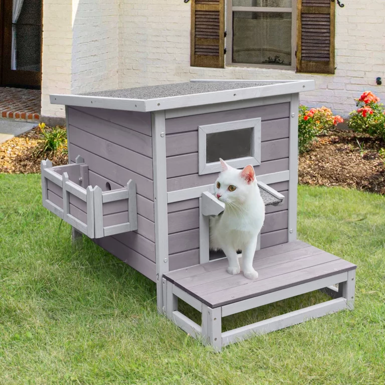 5 Weatherproof DIY Outdoor Cat House Shelter Ideas