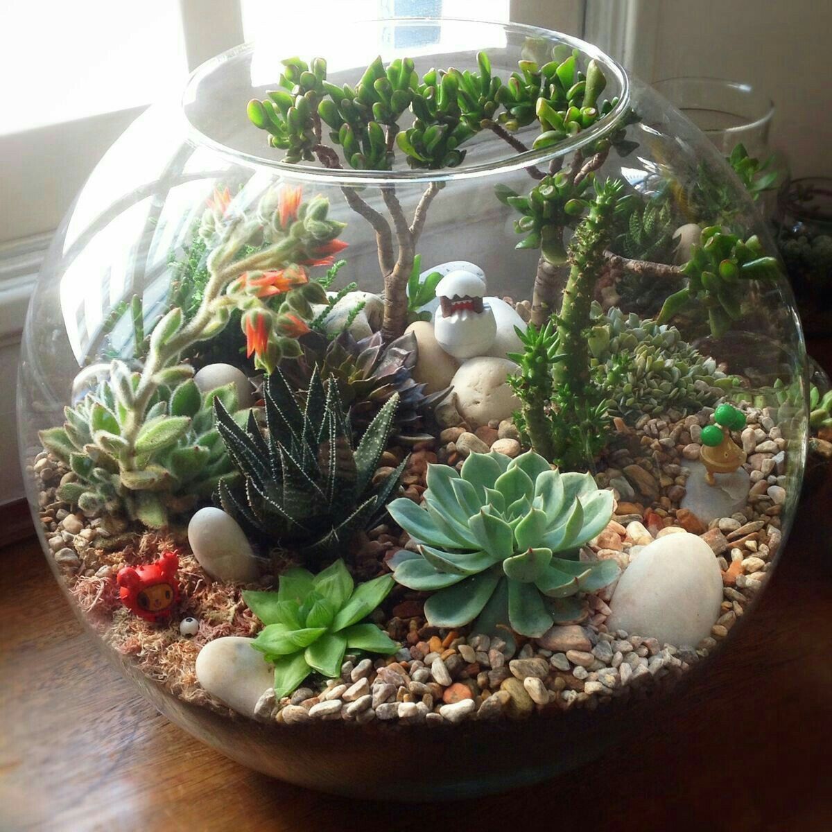 Fish Bowl Succulent Terrarium