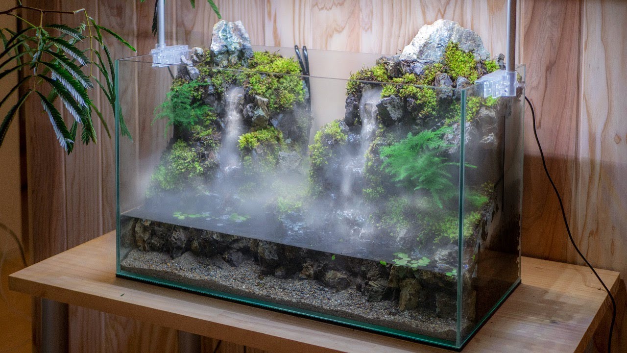 Fish Tank Terrarium with Water and Mist