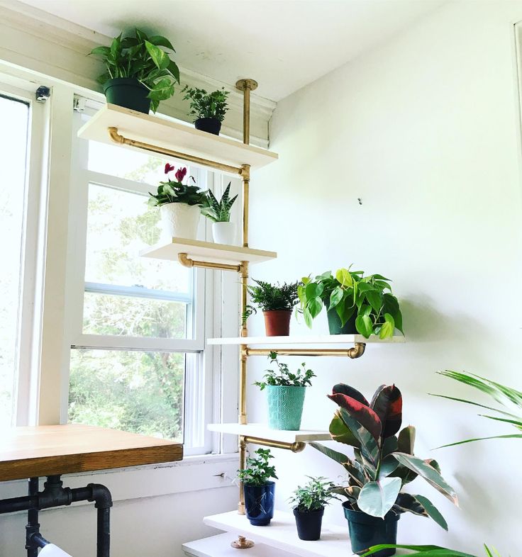 Ladder shelf style