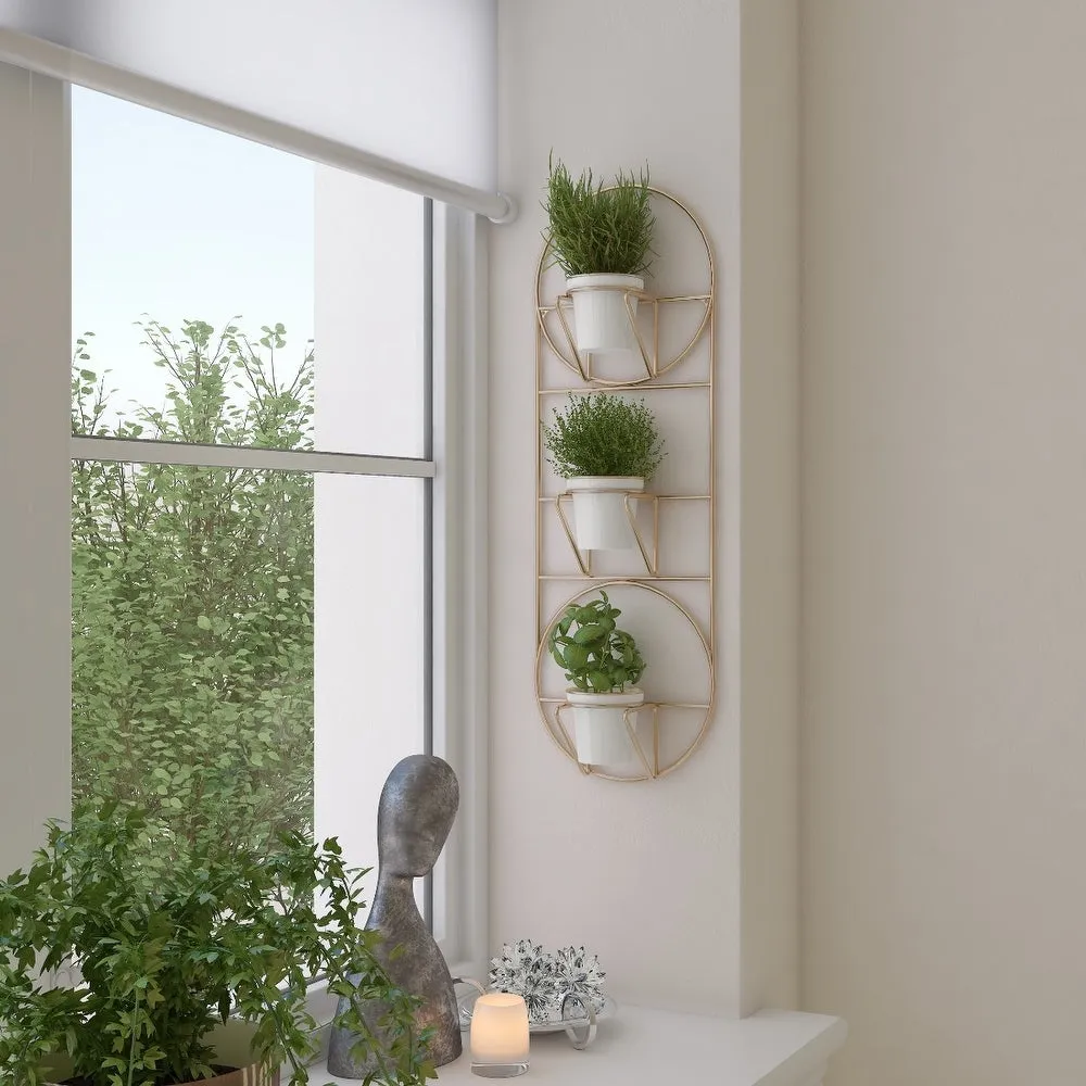 Metal Frame for Wall Mounted Plants
