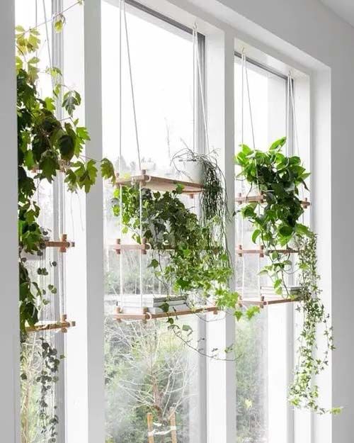 Mini garden on hanging shelf