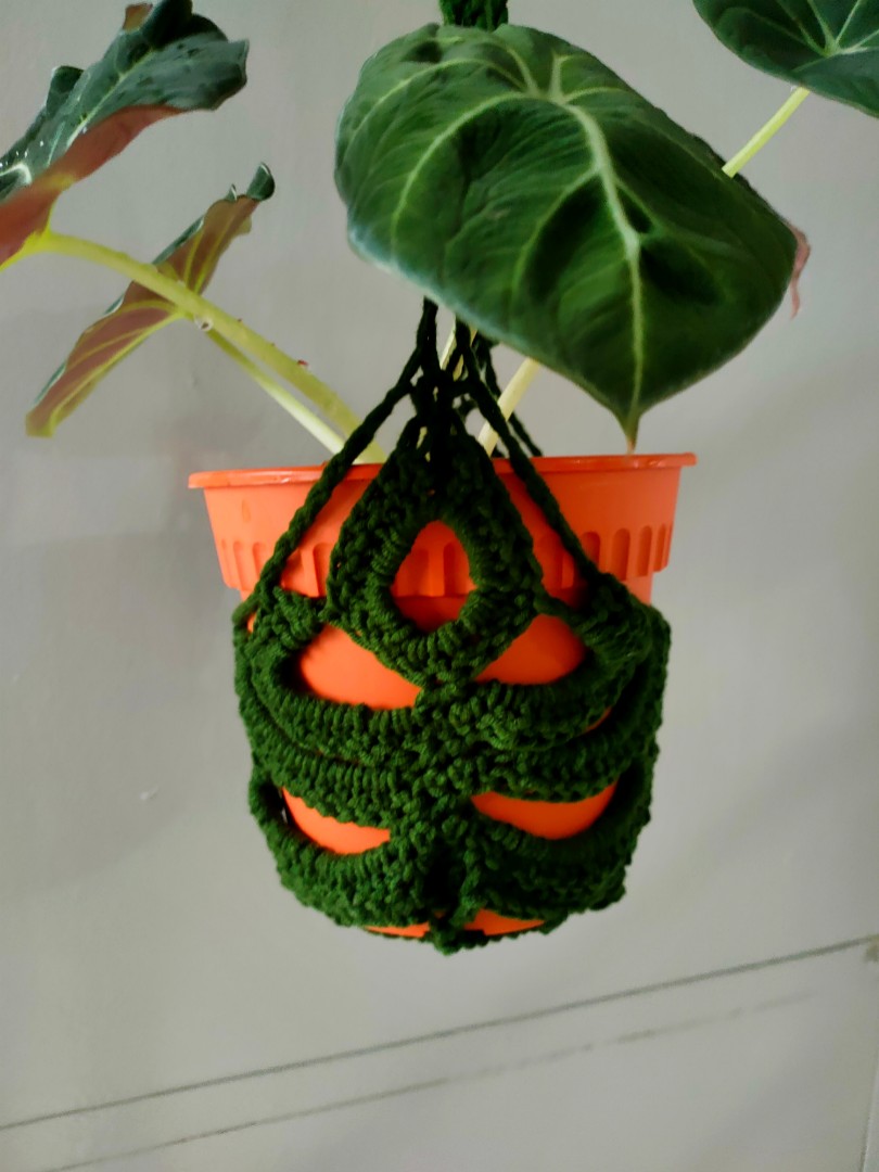 Monstera Leaf Plant Hanger