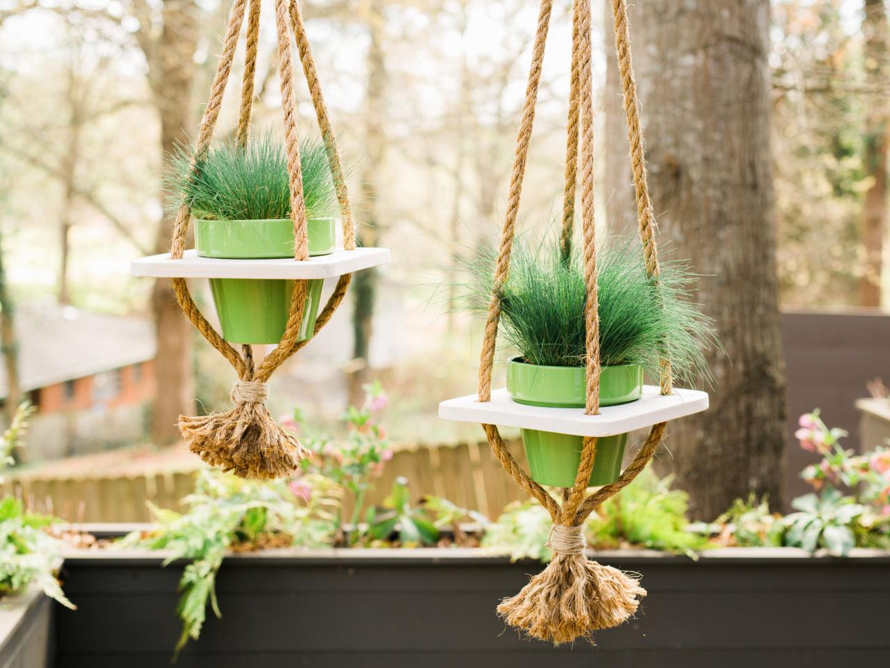 Plant Hanger Made of Rope and Board