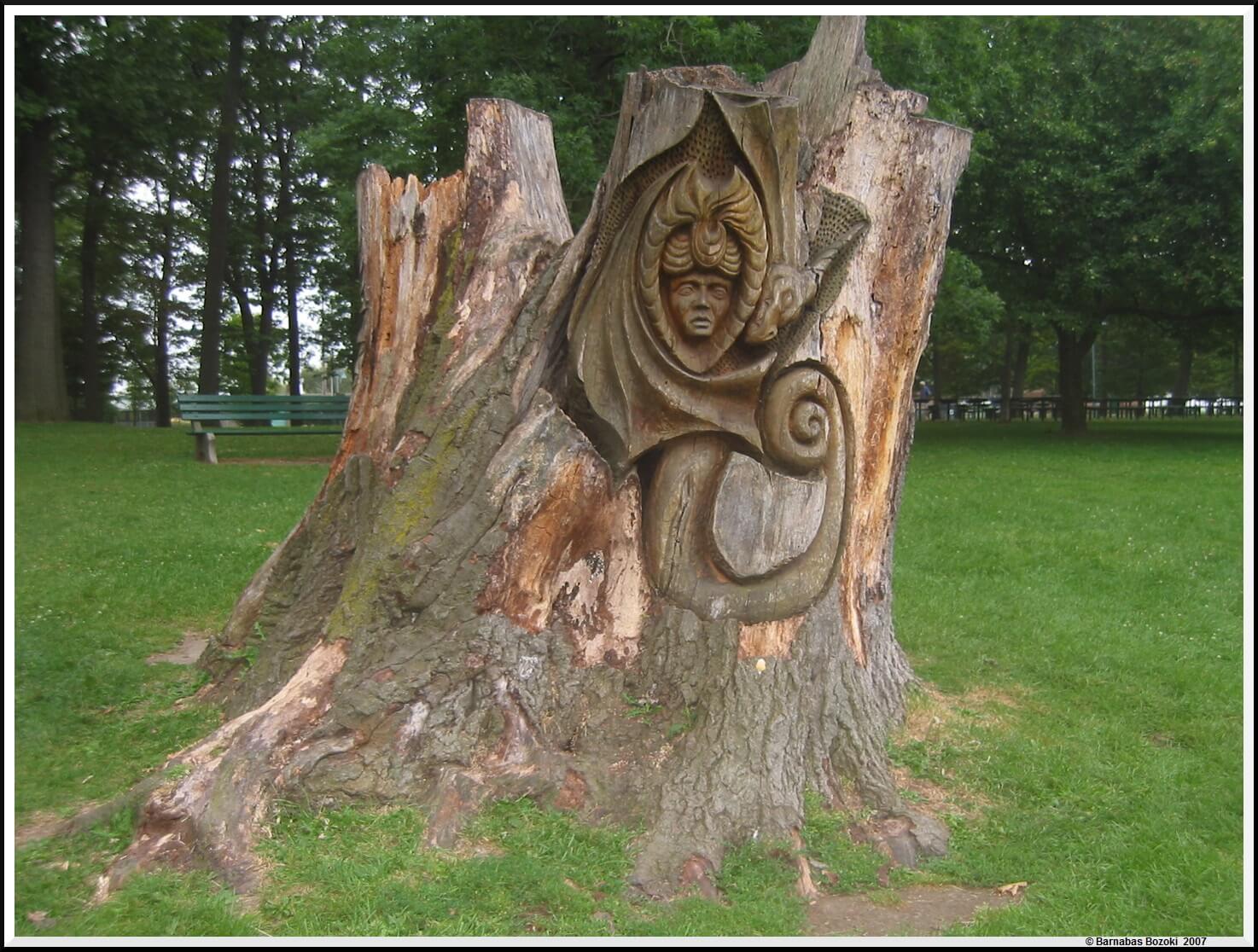 Quirky Carved Tree Stump