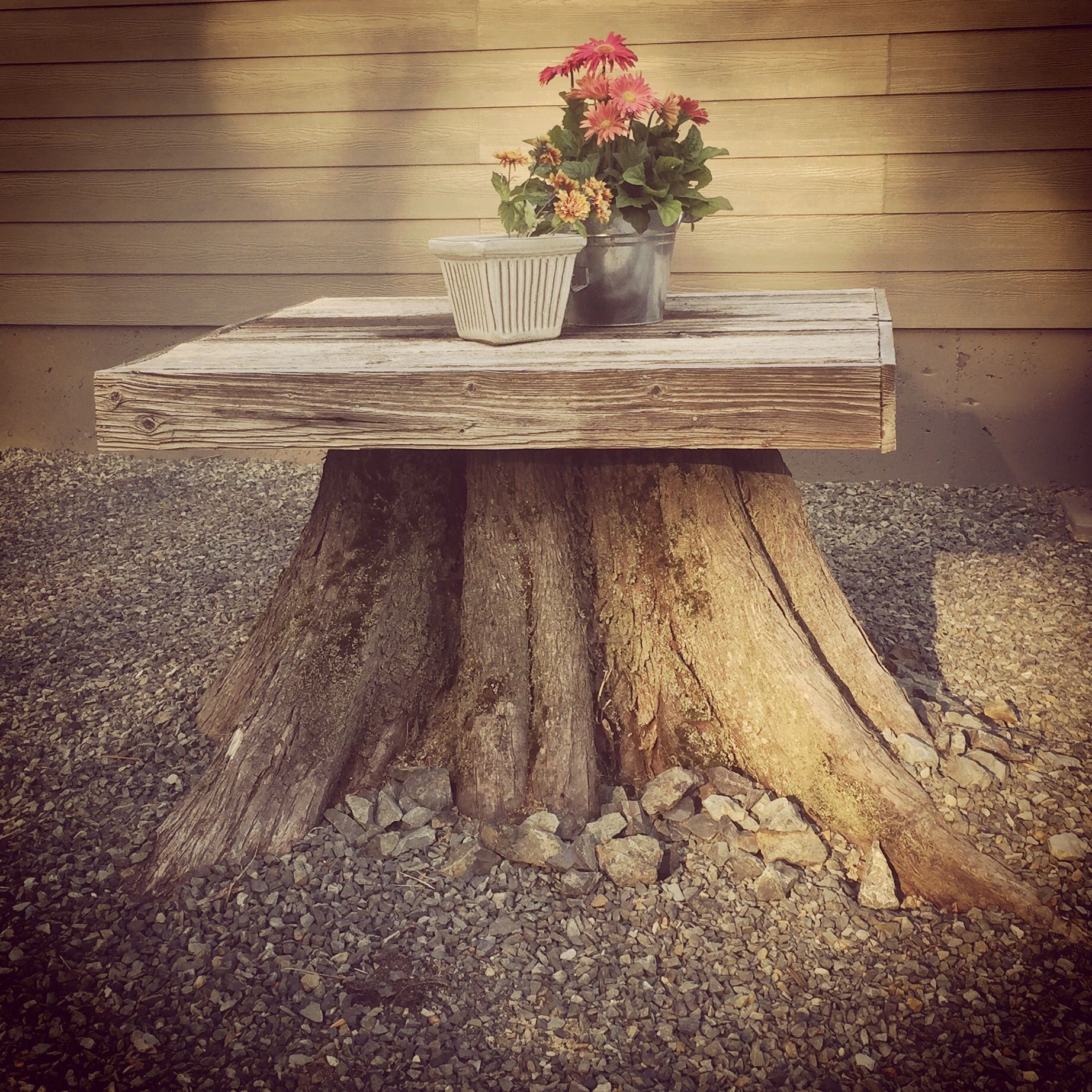 Tree Stump Square Table