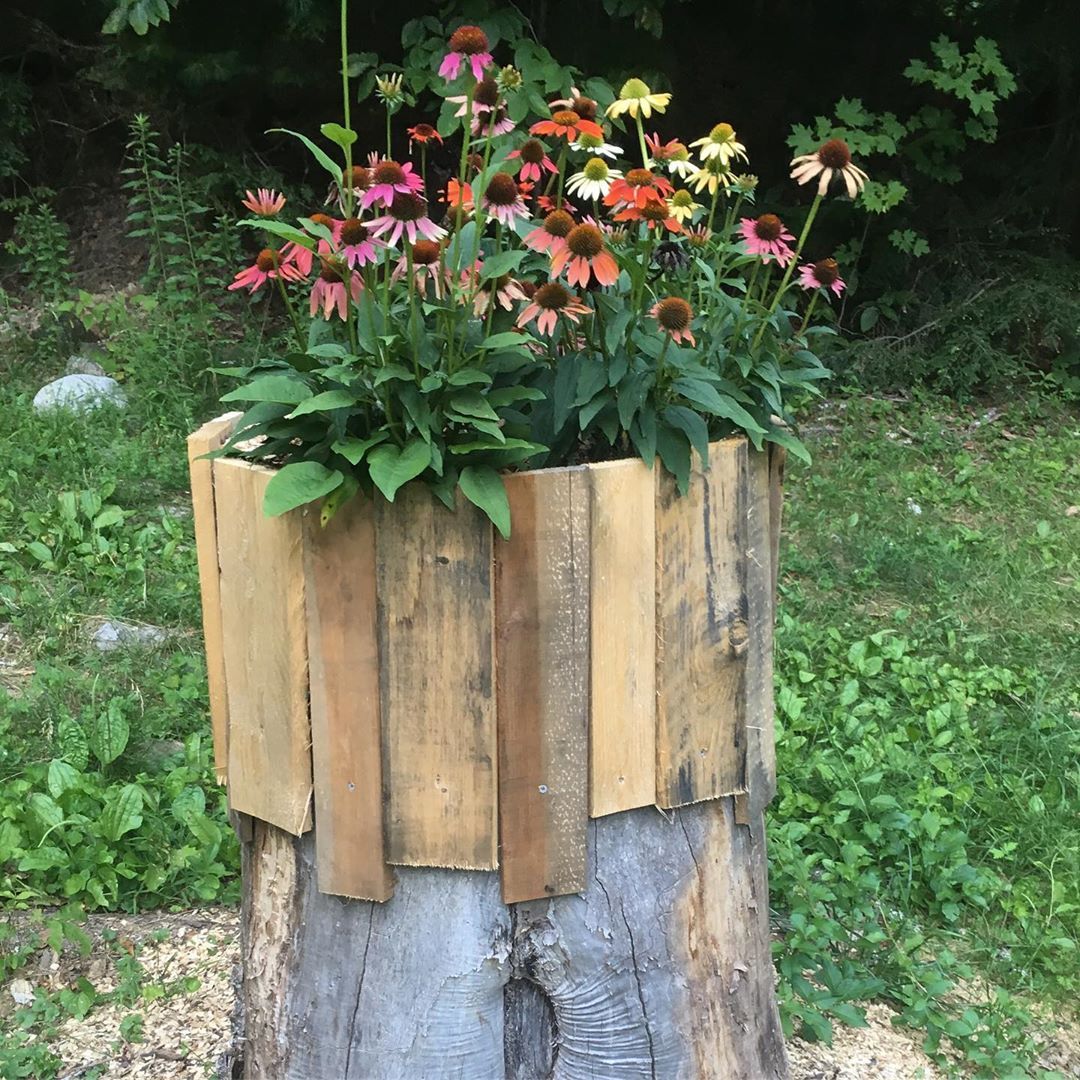 Tree Stump with a Rustic Wood Planter
