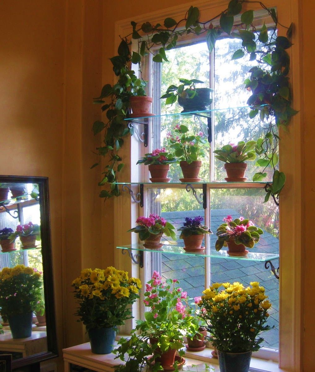 Window Mini Greenhouse