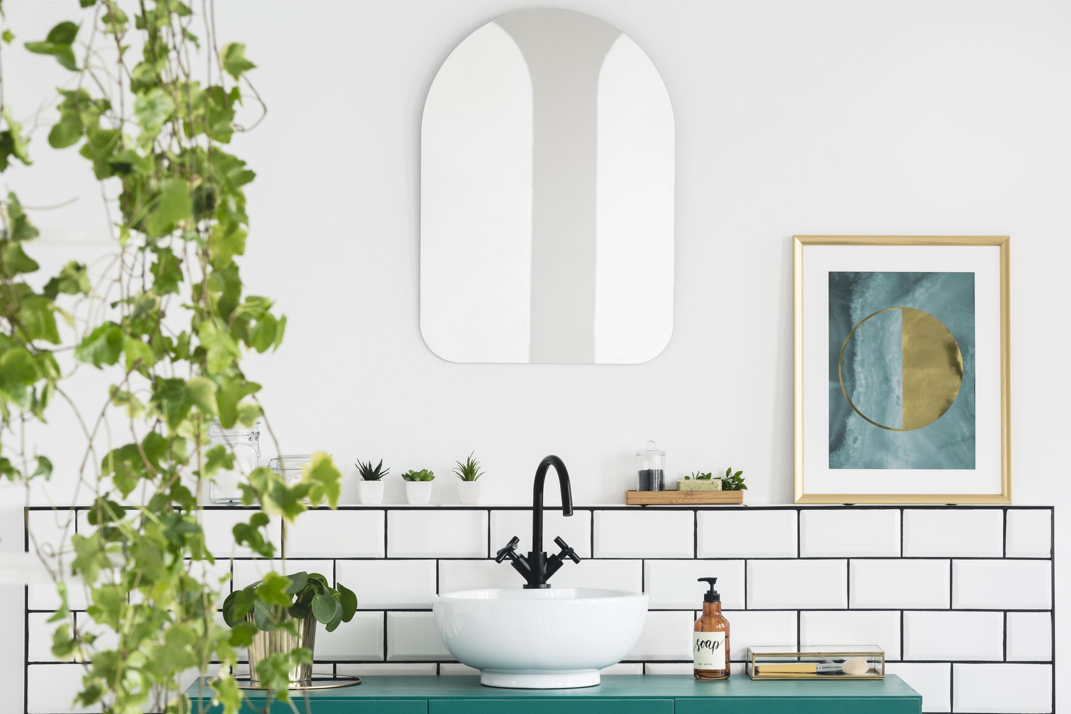 10 Best Plants for A Bathroom with No Light