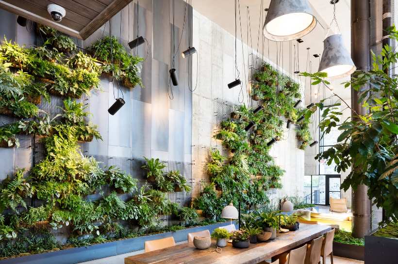 16 Creative & Modern Indoor Plant Wall Decor Ideas