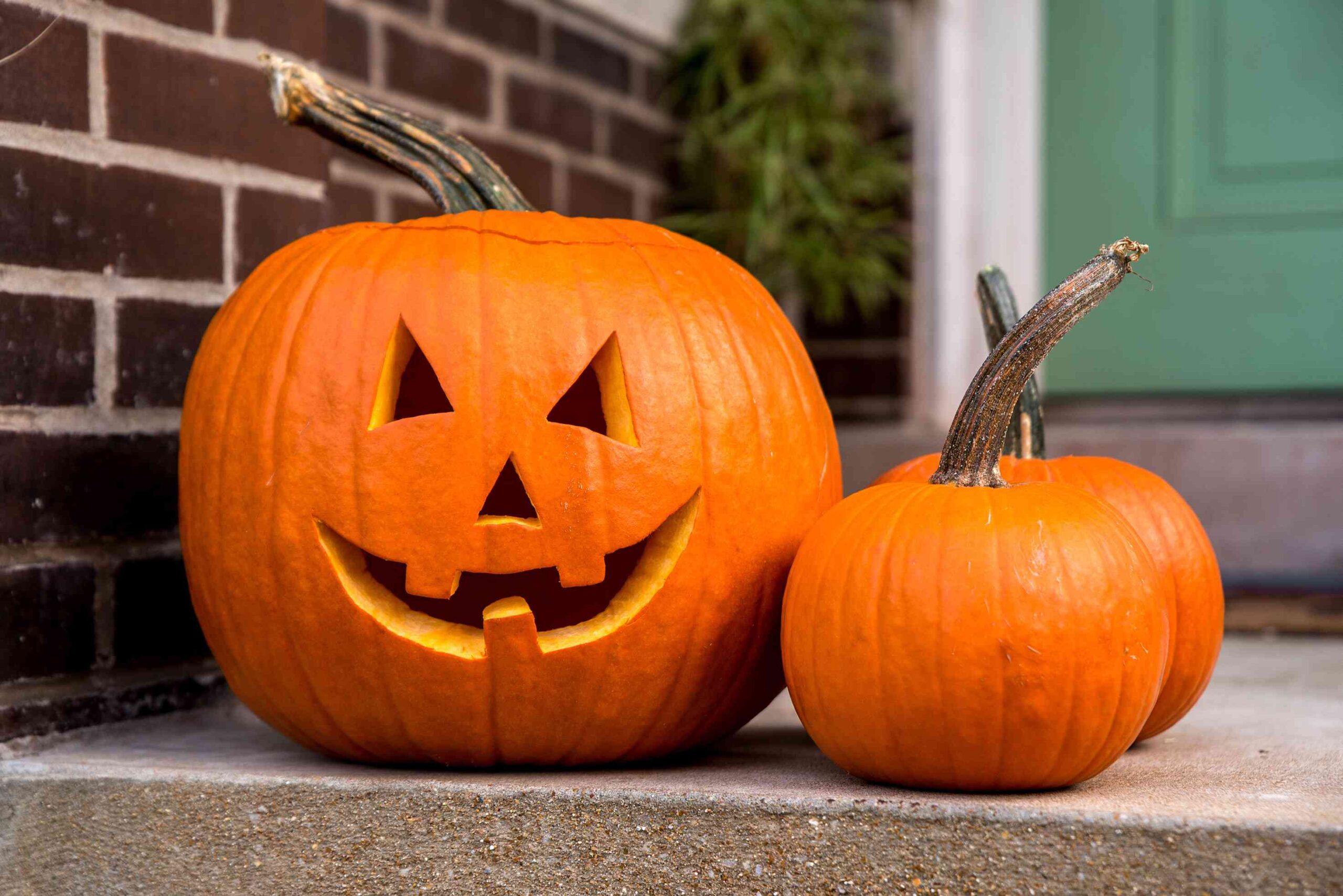 How To Keep Carved and Uncarved Pumpkins from Rotting